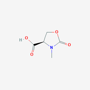 molecular formula C5H7NO4 B13174295 (4R)-3-Methyl-2-oxo-1,3-oxazolidine-4-carboxylic acid 