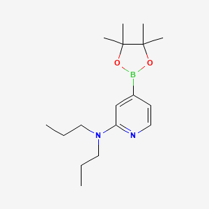 molecular formula C17H29BN2O2 B13176584 N,N-Dipropyl-4-(tetramethyl-1,3,2-dioxaborolan-2-yl)pyridin-2-amine 