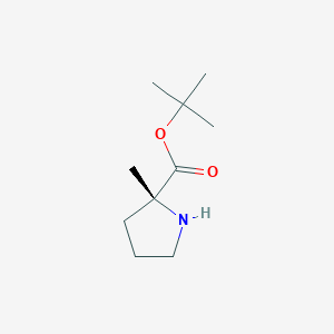 molecular formula C10H19NO2 B13177440 Tert-butyl (2R)-2-methylpyrrolidine-2-carboxylate 