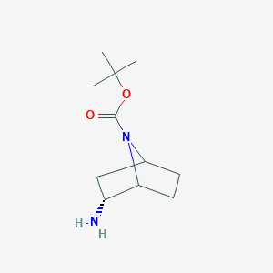 molecular formula C11H20N2O2 B13179076 tert-butyl (2R)-2-amino-7-azabicyclo[2.2.1]heptane-7-carboxylate 