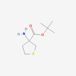 molecular formula C9H17NO2S B13179462 Tert-butyl 3-aminothiolane-3-carboxylate 