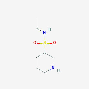 molecular formula C7H16N2O2S B13179944 N-ethylpiperidine-3-sulfonamide 