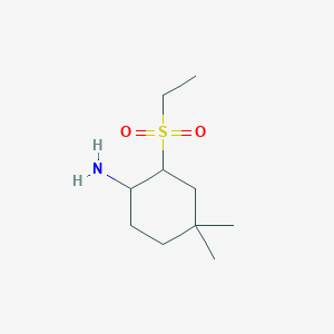 molecular formula C10H21NO2S B13182853 2-(Ethanesulfonyl)-4,4-dimethylcyclohexan-1-amine 