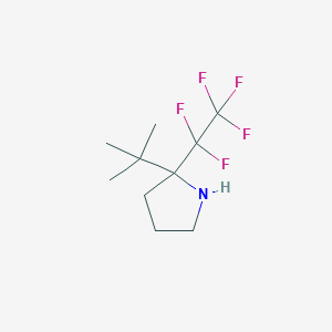 molecular formula C10H16F5N B1318510 2-Tert-butyl-2-(1,1,2,2,2-pentafluoroethyl)pyrrolidine 