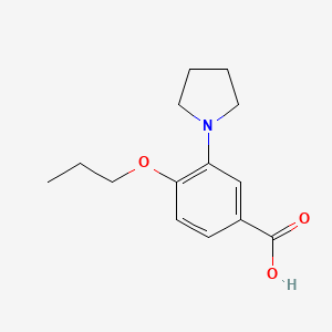 molecular formula C14H19NO3 B1318632 4-Propoxy-3-(pyrrolidin-1-yl)benzoic acid CAS No. 946783-42-2