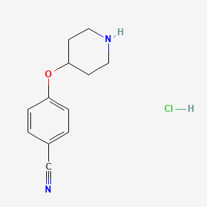 molecular formula C12H15ClN2O B1318917 4-(Piperidin-4-yloxy)benzonitrile hydrochloride CAS No. 333954-90-8