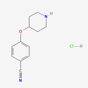 4-(Piperidin-4-yloxy)benzonitrile hydrochloride