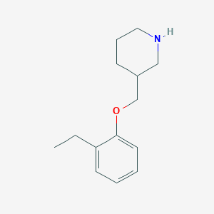 3-[(2-Ethylphenoxy)methyl]piperidine