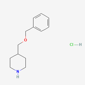 molecular formula C13H20ClNO B1319066 4-[(Benzyloxy)methyl]piperidine hydrochloride CAS No. 301226-92-6