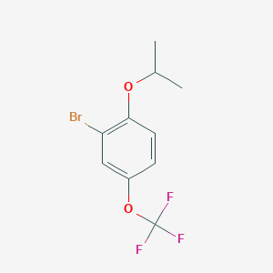 molecular formula C10H10BrF3O2 B1319091 2-溴-1-异丙氧基-4-(三氟甲氧基)苯 CAS No. 200956-15-6