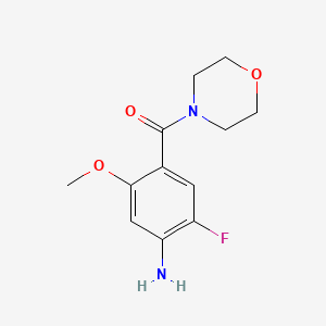 molecular formula C12H15FN2O3 B13191132 2-Fluoro-5-methoxy-4-(morpholine-4-carbonyl)aniline 