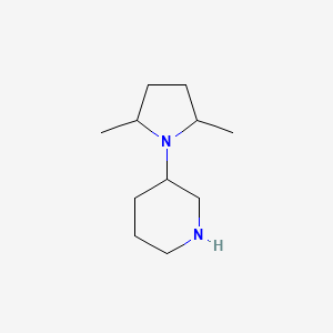 molecular formula C11H22N2 B13192550 3-(2,5-Dimethylpyrrolidin-1-yl)piperidine 