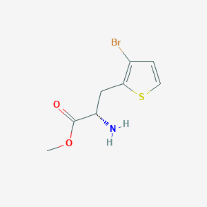 molecular formula C8H10BrNO2S B13193753 Methyl (2S)-2-amino-3-(3-bromothiophen-2-yl)propanoate 