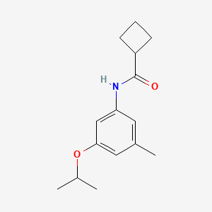 molecular formula C15H21NO2 B13194987 N-[3-Methyl-5-(propan-2-yloxy)phenyl]cyclobutanecarboxamide 