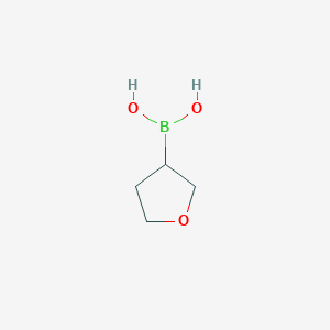 molecular formula C4H9BO3 B1319506 (Tetrahydrofuran-3-yl)boronic acid CAS No. 260369-10-6