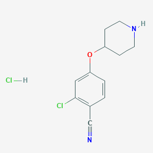 2-Chloro-4-(piperidin-4-yloxy)benzonitrile hydrochloride