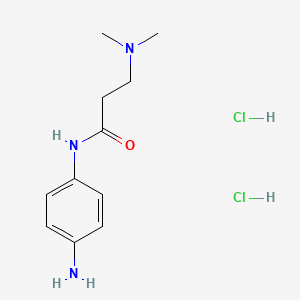molecular formula C11H19Cl2N3O B13201329 N-(4-aminophenyl)-3-(dimethylamino)propanamide dihydrochloride 