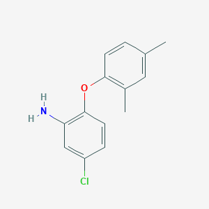 molecular formula C14H14ClNO B1320247 5-Chloro-2-(2,4-dimethylphenoxy)aniline CAS No. 937606-29-6