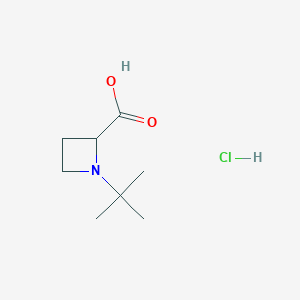 molecular formula C8H16ClNO2 B13202723 1-Tert-butylazetidine-2-carboxylic acid hydrochloride 