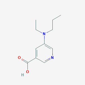 molecular formula C11H16N2O2 B13202728 5-[Ethyl(propyl)amino]pyridine-3-carboxylic acid 