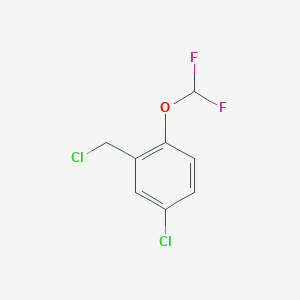 molecular formula C8H6Cl2F2O B13203544 4-Chloro-2-(chloromethyl)-1-(difluoromethoxy)benzene 