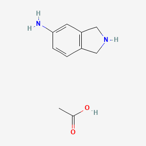 molecular formula C10H14N2O2 B13203908 2,3-Dihydro-1H-isoindol-5-amine,aceticacid 