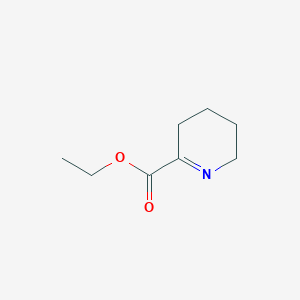 molecular formula C8H13NO2 B13204369 Ethyl 3,4,5,6-tetrahydropyridine-2-carboxylate CAS No. 219718-35-1