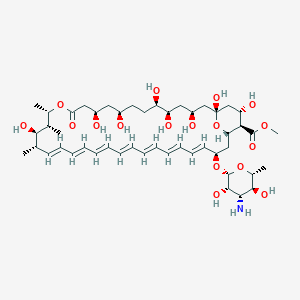 molecular formula C48H75NO17 B132049 Amphotericin B methyl ester CAS No. 36148-89-7
