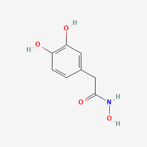 molecular formula C8H9NO4 B13205546 2-(3,4-Dihydroxyphenyl)-N-hydroxyacetamide 