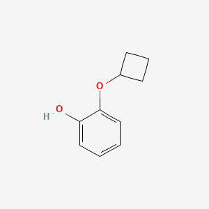molecular formula C10H12O2 B13205770 2-Cyclobutoxyphenol 
