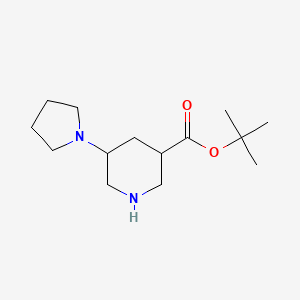 molecular formula C14H26N2O2 B13206629 tert-Butyl 5-(pyrrolidin-1-yl)piperidine-3-carboxylate 
