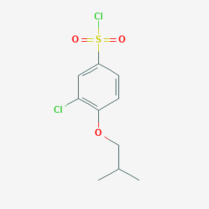 molecular formula C10H12Cl2O3S B13206955 3-Chloro-4-isobutoxybenzenesulfonyl chloride 