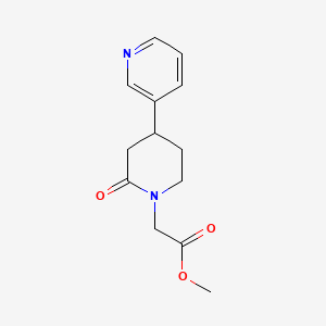 molecular formula C13H16N2O3 B13206995 Methyl 2-[2-oxo-4-(pyridin-3-yl)piperidin-1-yl]acetate 