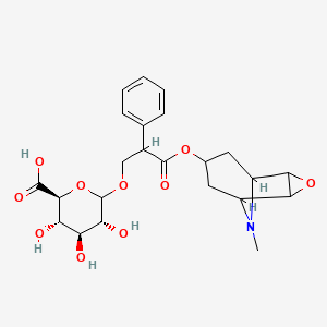 molecular formula C23H29NO10 B1320710 Scopolamine beta-D-Glucuronide 
