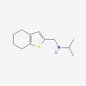 molecular formula C12H19NS B13207210 (Propan-2-yl)(4,5,6,7-tetrahydro-1-benzothiophen-2-ylmethyl)amine 