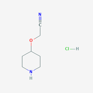 molecular formula C7H13ClN2O B13207957 (Piperidin-4-yloxy)acetonitrilehydrochloride 