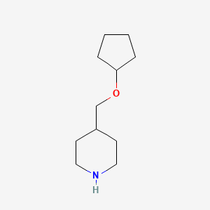 molecular formula C11H21NO B13208510 4-[(Cyclopentyloxy)methyl]piperidine 