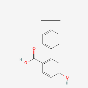 molecular formula C17H18O3 B13209499 2-(4-tert-Butylphenyl)-4-hydroxybenzoic acid 
