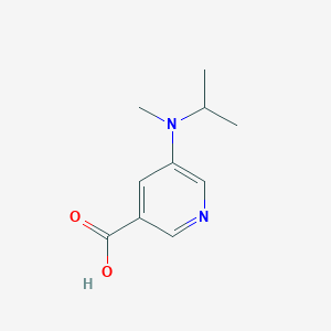 molecular formula C10H14N2O2 B13209562 5-[Methyl(propan-2-yl)amino]pyridine-3-carboxylic acid 