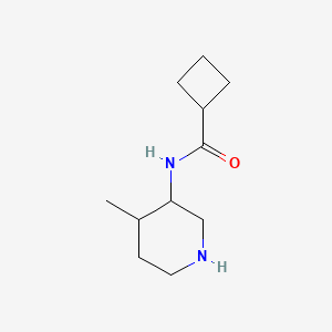 molecular formula C11H20N2O B13210141 N-(4-methylpiperidin-3-yl)cyclobutanecarboxamide 