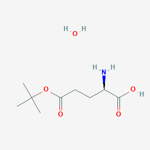 molecular formula C9H19NO5 B13210473 (2R)-2-Amino-5-(tert-butoxy)-5-oxopentanoic acid hydrate 