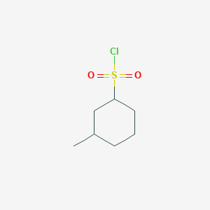 molecular formula C7H13ClO2S B13211955 3-Methylcyclohexane-1-sulfonyl chloride 
