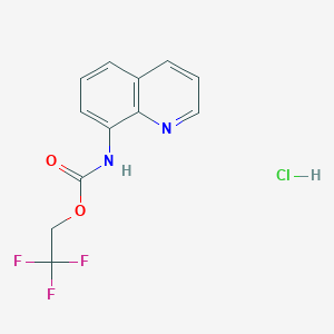 molecular formula C12H10ClF3N2O2 B13213989 2,2,2-trifluoroethyl N-(quinolin-8-yl)carbamate hydrochloride 