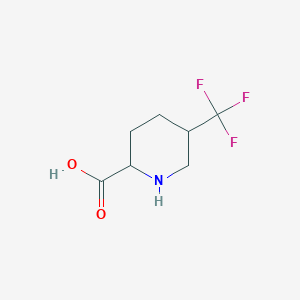 molecular formula C7H10F3NO2 B13214116 5-(Trifluoromethyl)piperidine-2-carboxylic acid 