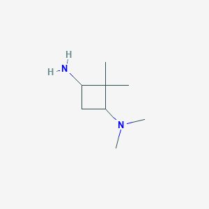 molecular formula C8H18N2 B13214706 N1,N1,2,2-Tetramethylcyclobutane-1,3-diamine 
