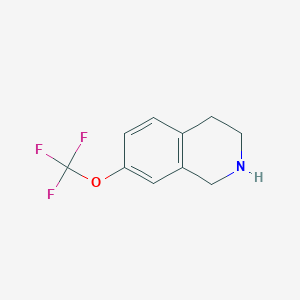 molecular formula C10H10F3NO B1321560 7-(Trifluoromethoxy)-1,2,3,4-tetrahydroisoquinoline CAS No. 199678-30-3