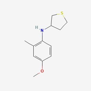 molecular formula C12H17NOS B13215746 N-(4-methoxy-2-methylphenyl)thiolan-3-amine 