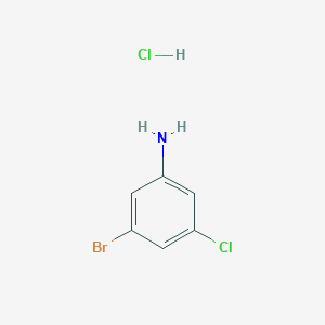 molecular formula C6H6BrCl2N B13216418 3-Bromo-5-chloroaniline hydrochloride 