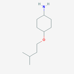 molecular formula C11H23NO B13216530 (1R,4r)-4-(3-methylbutoxy)cyclohexan-1-amine 