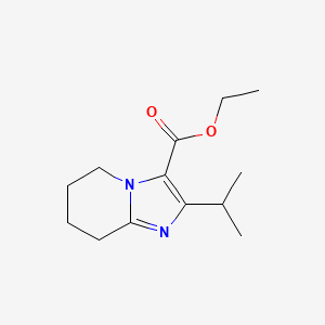 molecular formula C13H20N2O2 B13219333 Ethyl 2-(propan-2-yl)-5H,6H,7H,8H-imidazo[1,2-a]pyridine-3-carboxylate 
